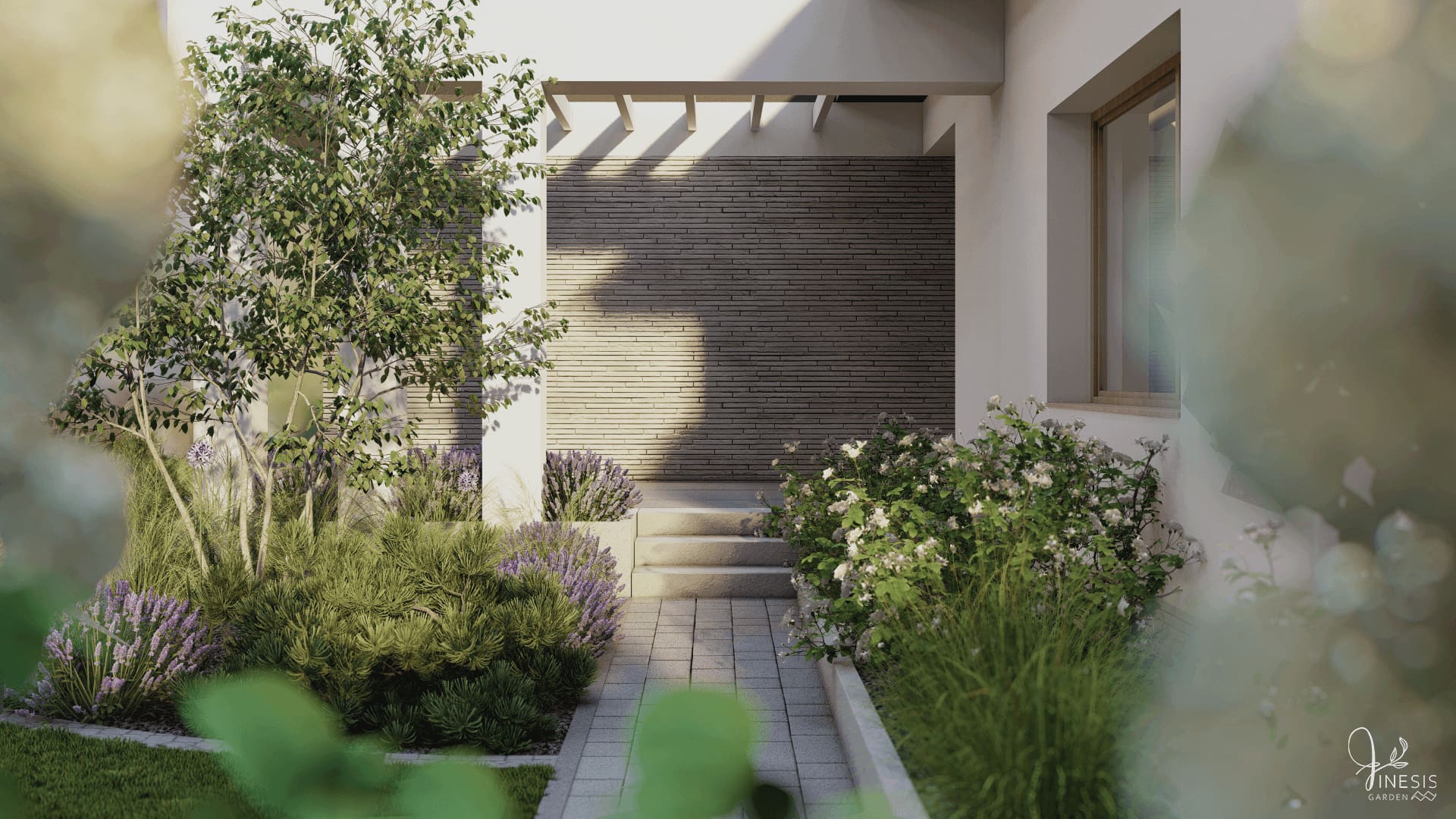 projekt ogrodu nowoczesnego Wrocław - rabata przy wejściu do domu z lawendą, trawami ozdobnymi i magnolią