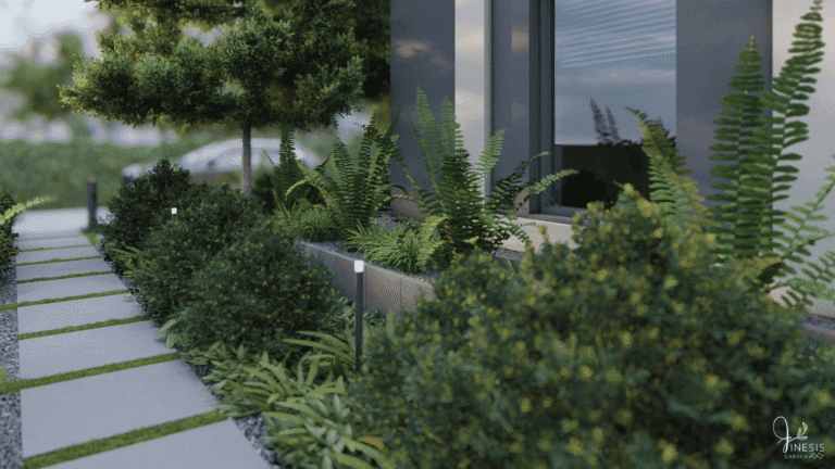 Rabata cienista z paprociami wzdłuż ścieżki.